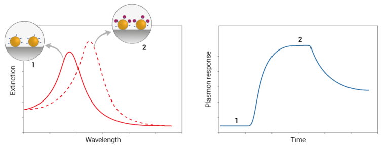 LSPR_biosensing